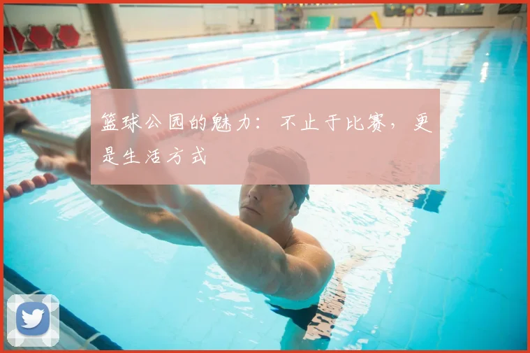 篮球公园的魅力:不止于比赛,更是生活方式