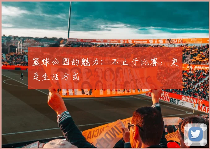 篮球公园的魅力：不止于比赛，更是生活方式