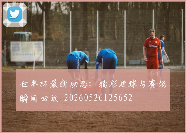 世界杯最新动态:精彩进球与赛场瞬间回放_20260526125652