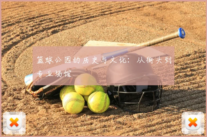 篮球公园的历史与文化：从街头到专业场馆