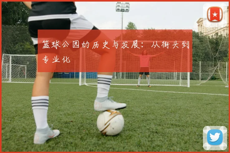 篮球公园的历史与发展:从街头到专业化