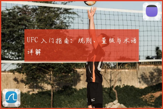 UFC 入门指南：规则、量级与术语详解